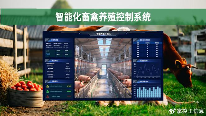 畜禽专业合作社组织架构