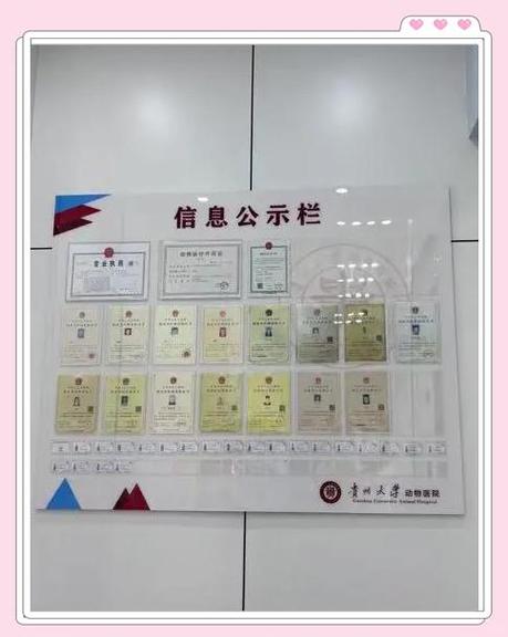 scoreboard公告栏指令