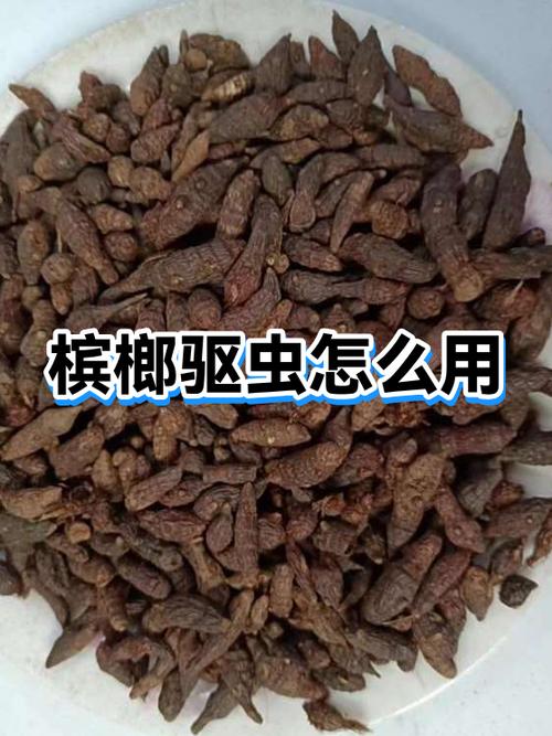 成人一般多久驱虫一次