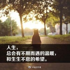 不期而遇的雅称