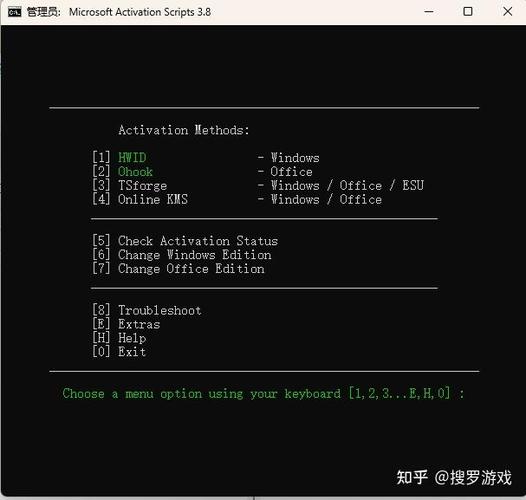 windows汉化史