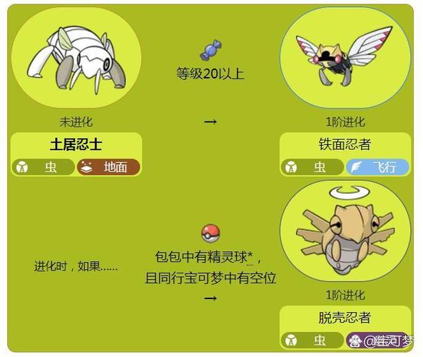 口袋妖怪土居忍士进化
