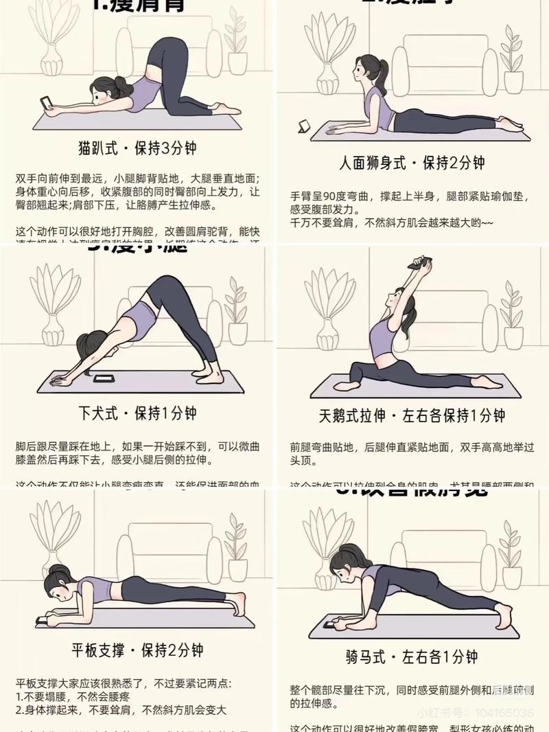 于戈柔韧瑜伽视频教程初级3