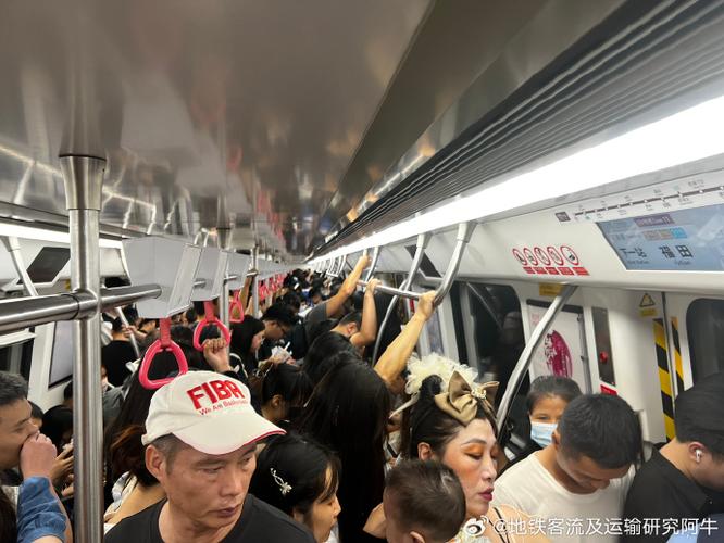 CH11雪隼打地铁