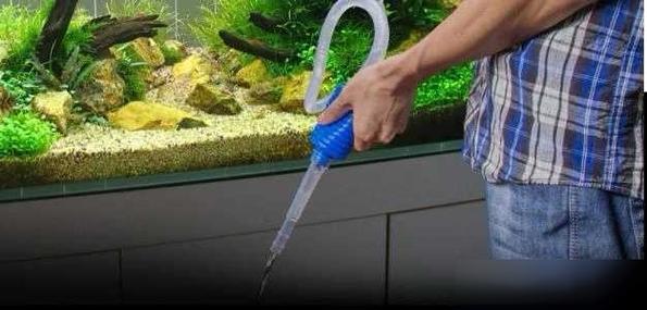 鱼缸臭水怎么办