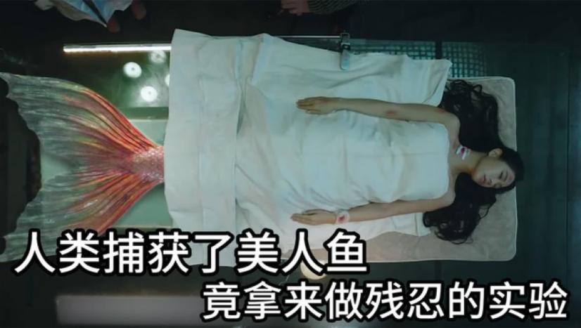 美人鱼被科学家抓去做实验