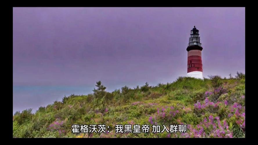 霍格沃茨:我黑皇帝,加入群聊