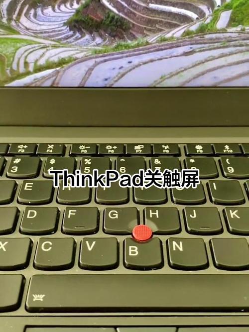 thinkpad在哪关闭触摸板缩略图