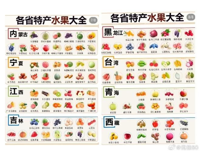 水果的种类