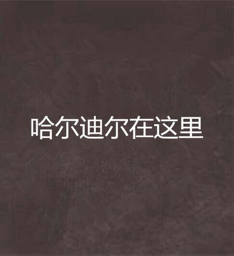 哈尔迪尔小说