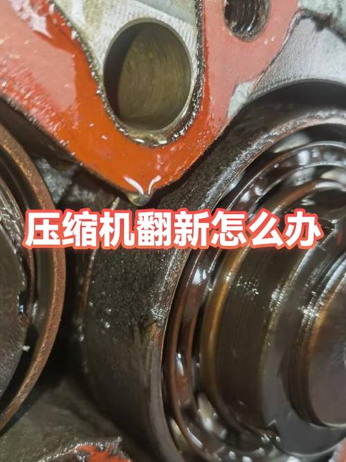 压缩板螺丝孔修补