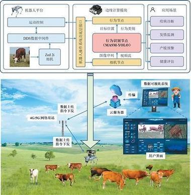 牛群在哪个单位