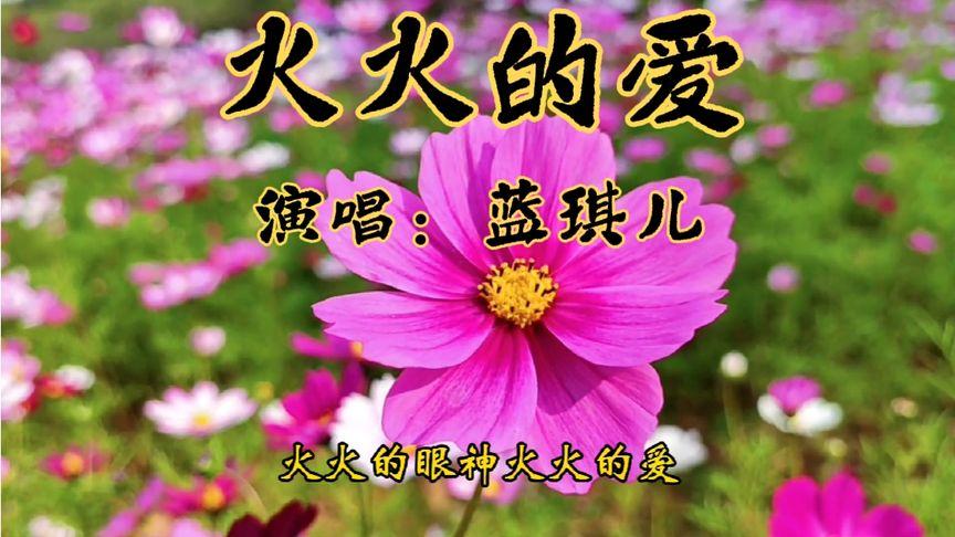 火火的爱快版