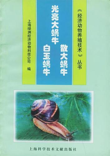 光亮大蜗牛