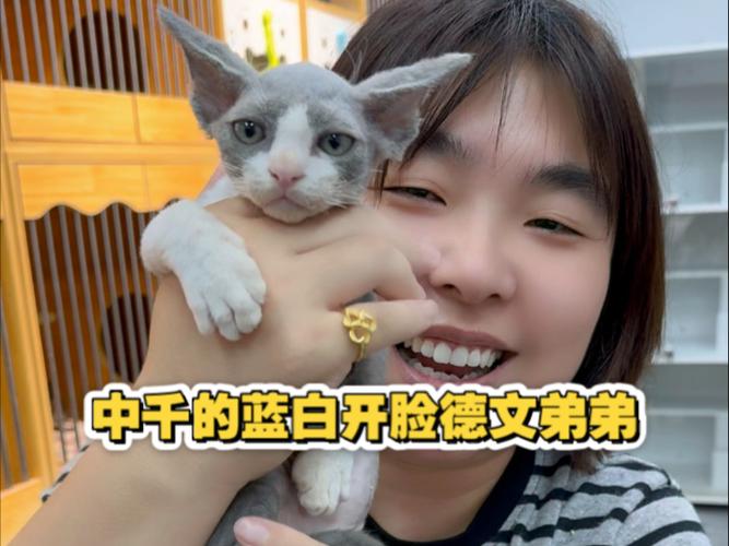 蓝白开脸图片