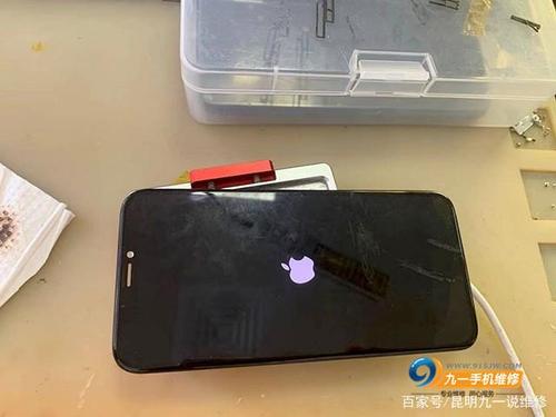 苹果手机进水了一直闪苹果标志怎么