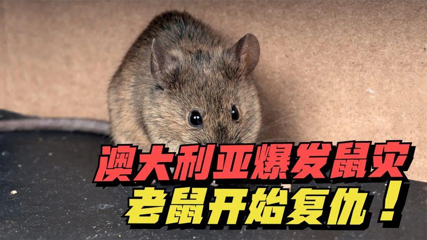 没有鼠标怎样删除电脑桌面的软件缩略图