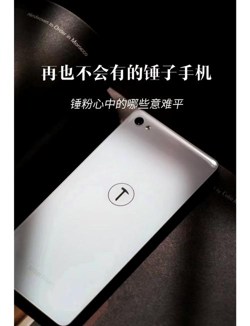 锤子坚果root论坛