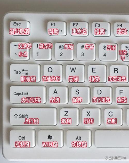 电脑键盘字母m.键打出来是0的解决方法