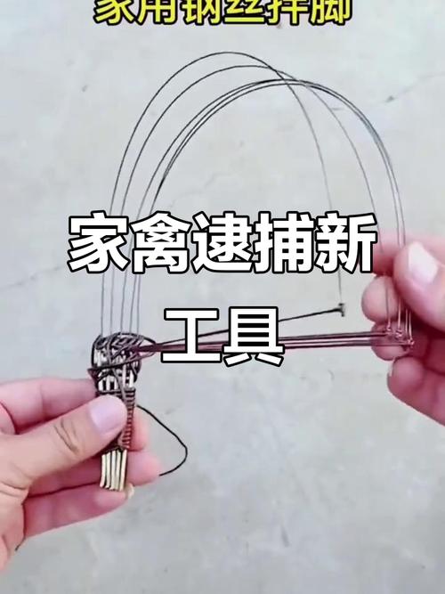 什么方法逮家鸡
