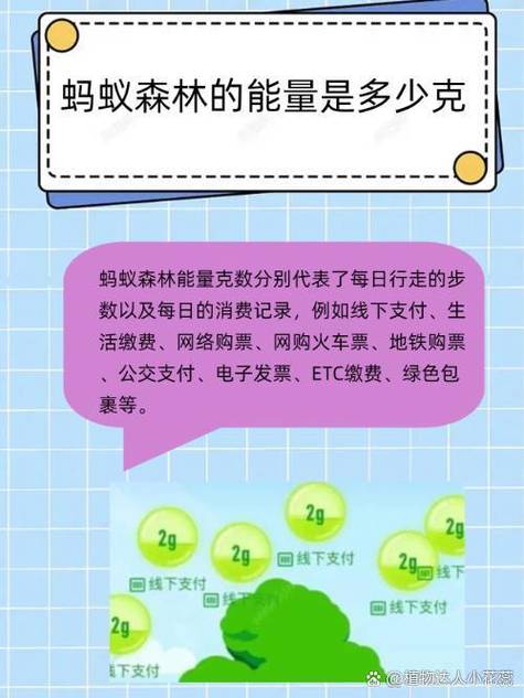 蚂蚁森林etc能量多少游戏截图