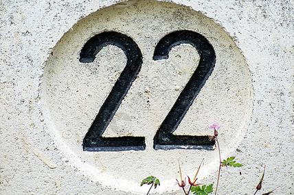 22IN22素材库