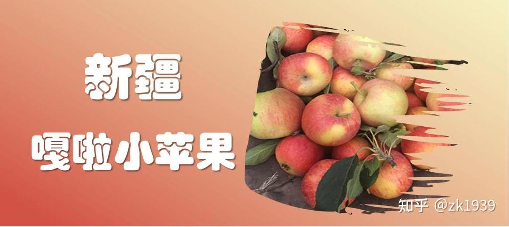 小苹果的热播推荐