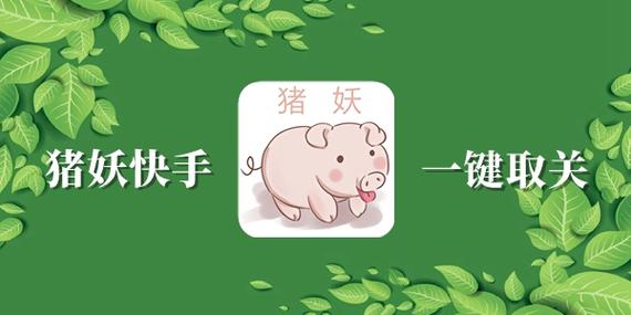 猪妖一键取关快手软件