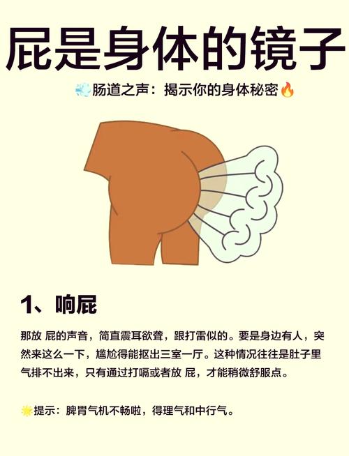 一天放屁很频繁是怎么回事