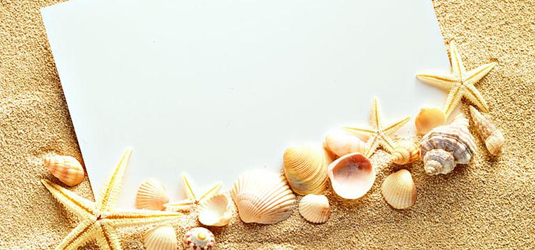 海螺影视模板