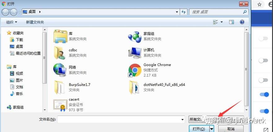 浏览器抓包截图