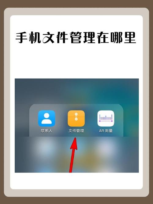 荣耀手机的文件管理在哪