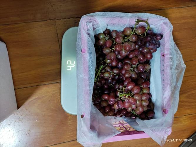 提子来了吃流量密码真相