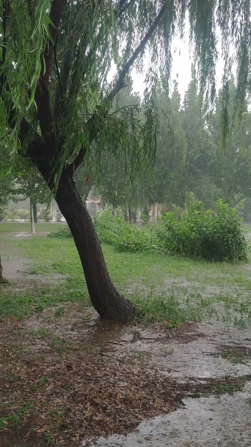 滴滴哒哒的雨声