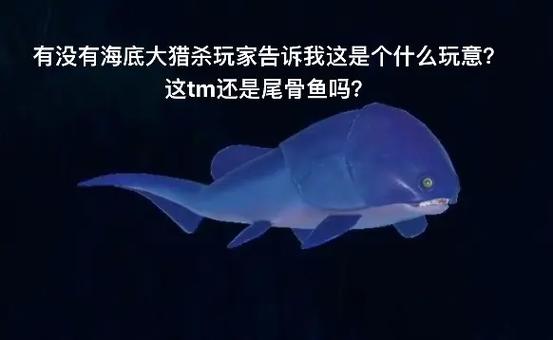 海底大猎海底大猎杀下载安装游戏截图