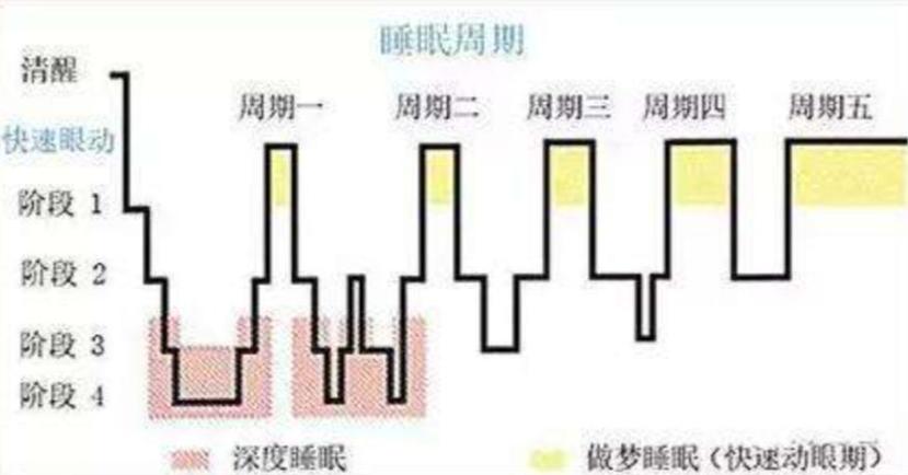 睡眠分为哪四个阶段