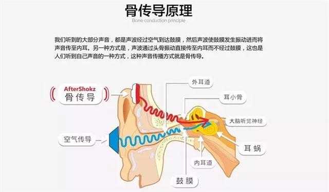 骨传导网络语是啥意思