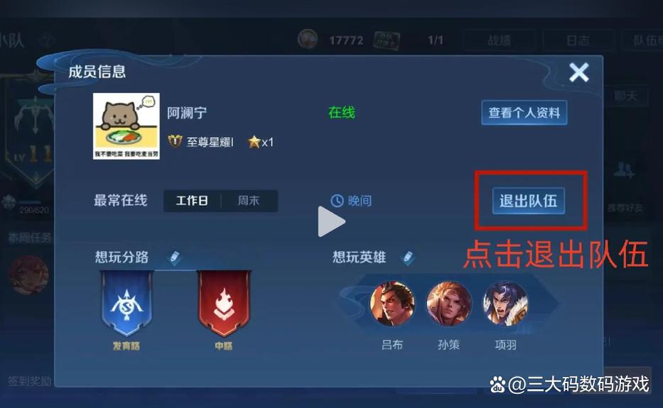 王者中的小队在哪里