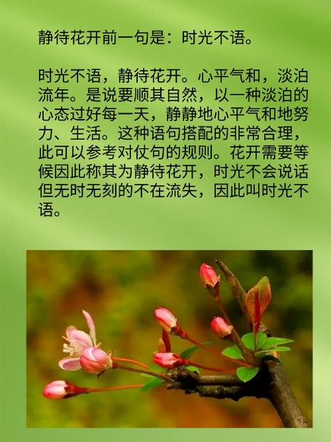 静待后续什么意思
