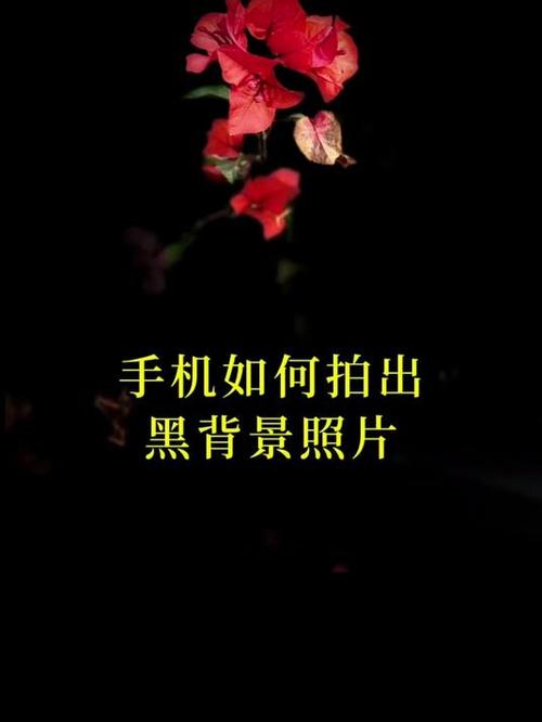 手机拍照黑背景怎么拍出来的