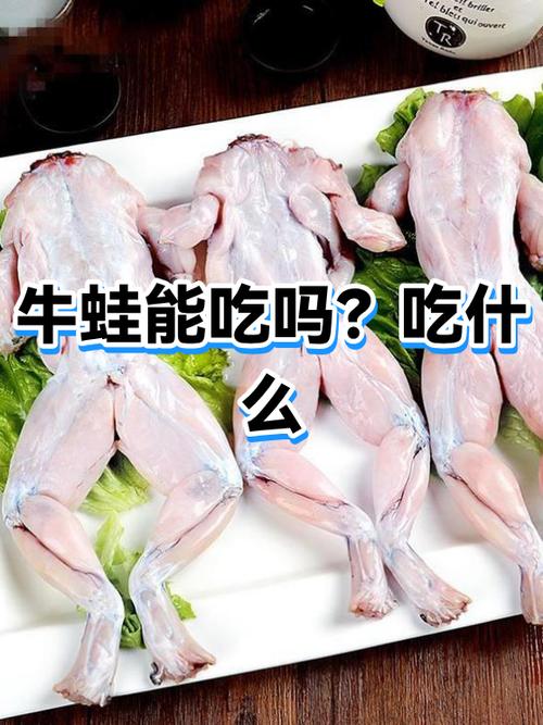 牛蛙可以吃吗缩略图