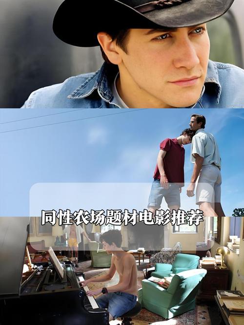 电影《农庄男孩》在线观看