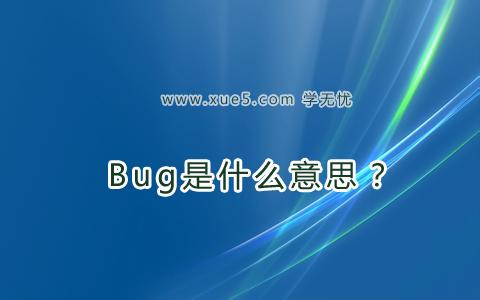 bug是什么意思怎么用