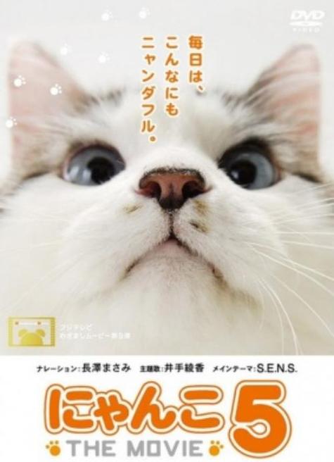 猫咪物语内置作弊菜单