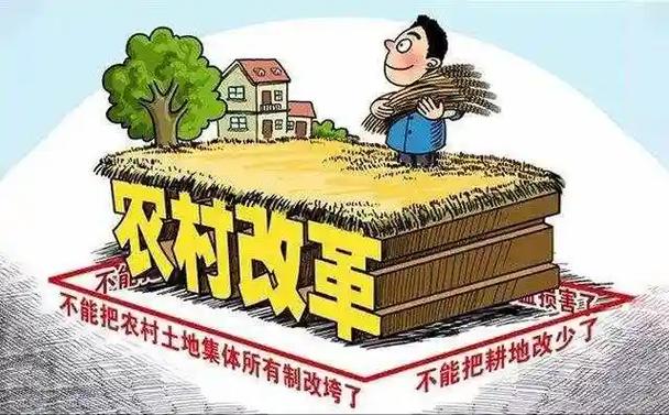 农村宅基地私自扩建怎么处理