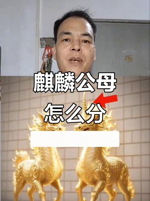麒麟980与990的区别游戏截图