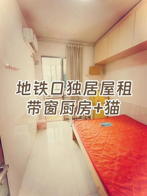 哪里可以租猫咪回来