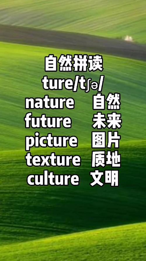 ture正确发音