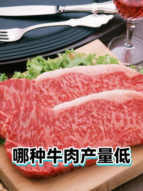 牦牛出肉率有多高