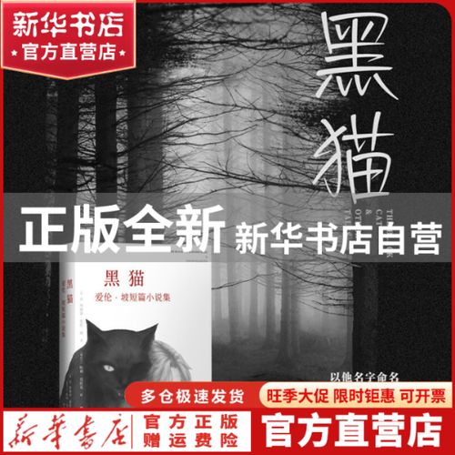 小说黑猫